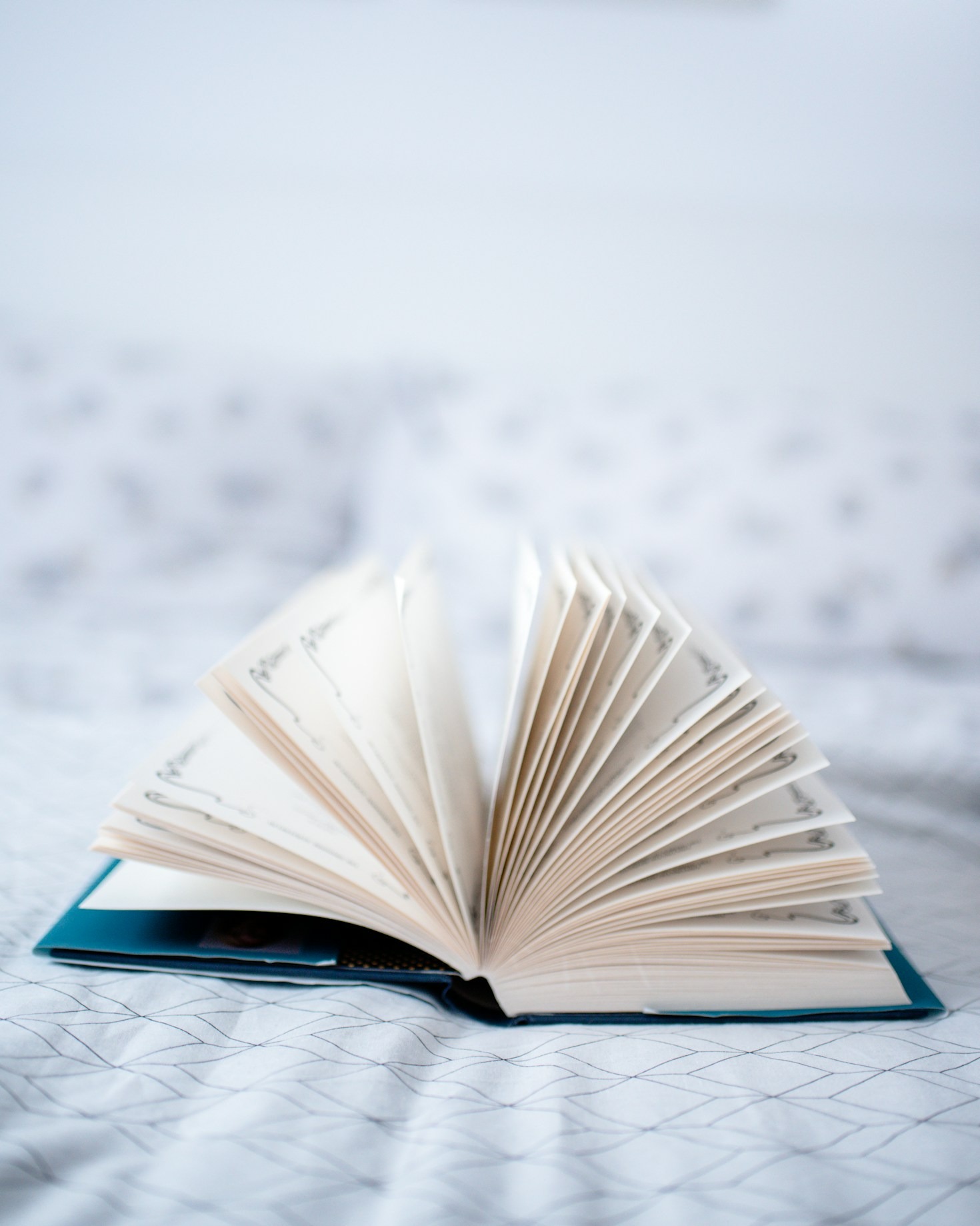 Why Representation Matters in Publishing